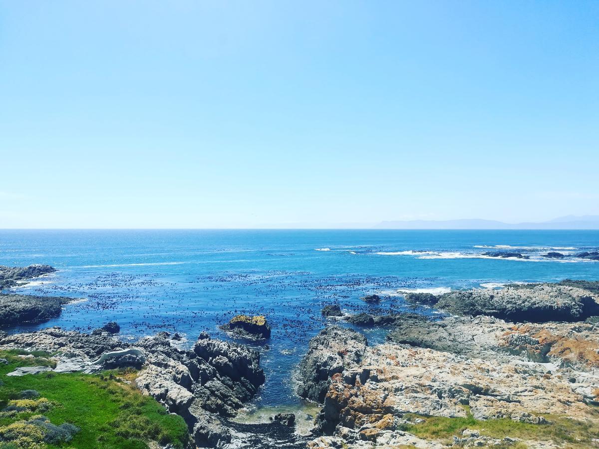 Waterside Apartment Gansbaai Exterior foto